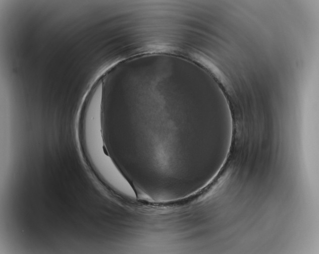 X0000094231034200711091310