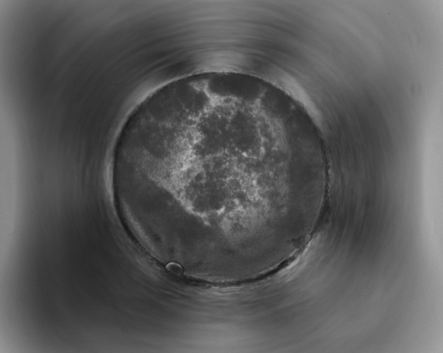 X0000094231035200711091310