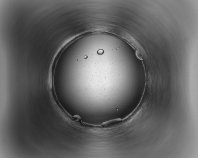 X0000094231036200711091310