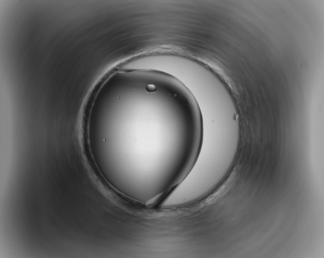 X0000094231038200711091310