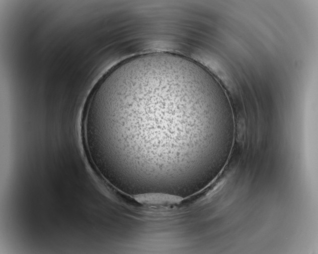 X0000094231039200711091310