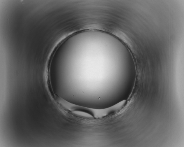 X0000094231040200711091310