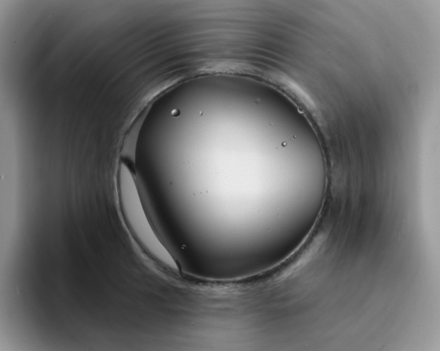 X0000094231041200711091310