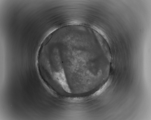 X0000094231042200711091310