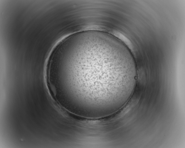 X0000094231043200711091310