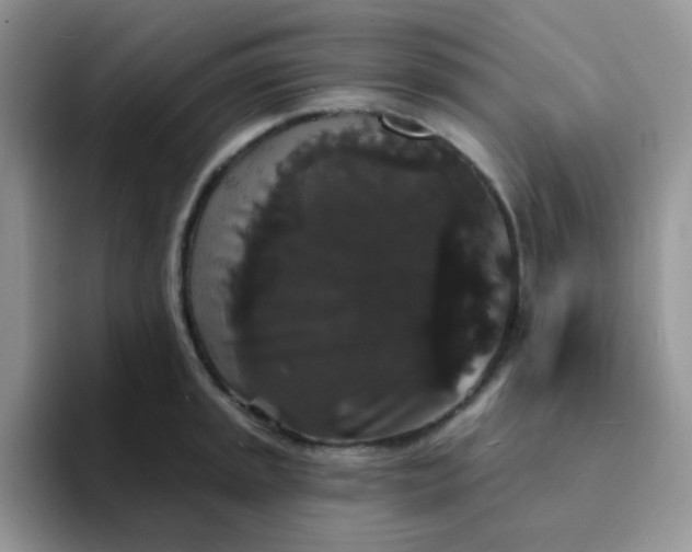 X0000094231045200711091310