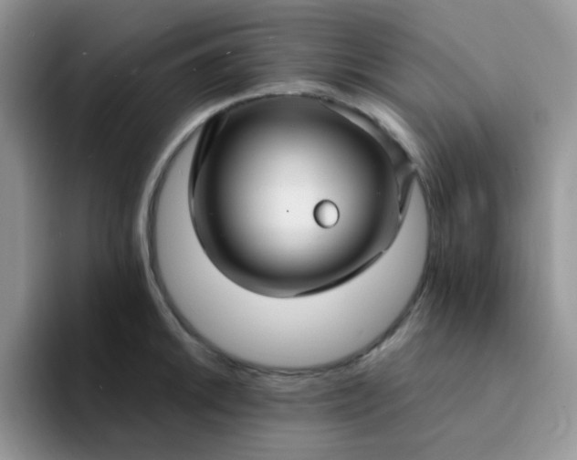 X0000094231046200711091310