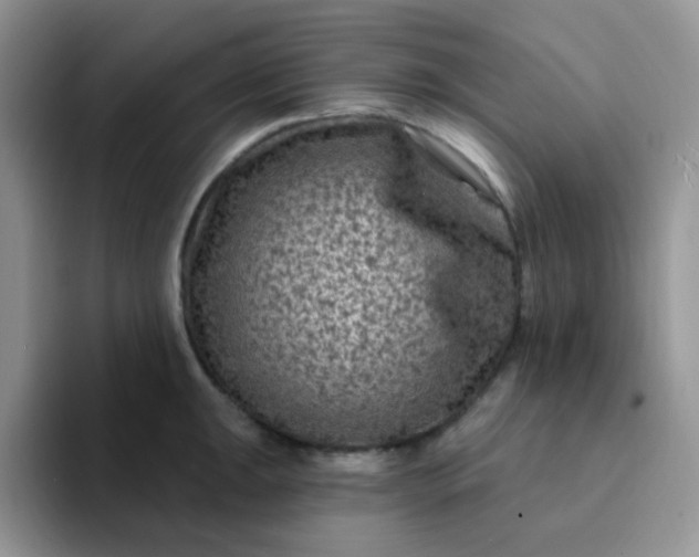 X0000094231047200711091310