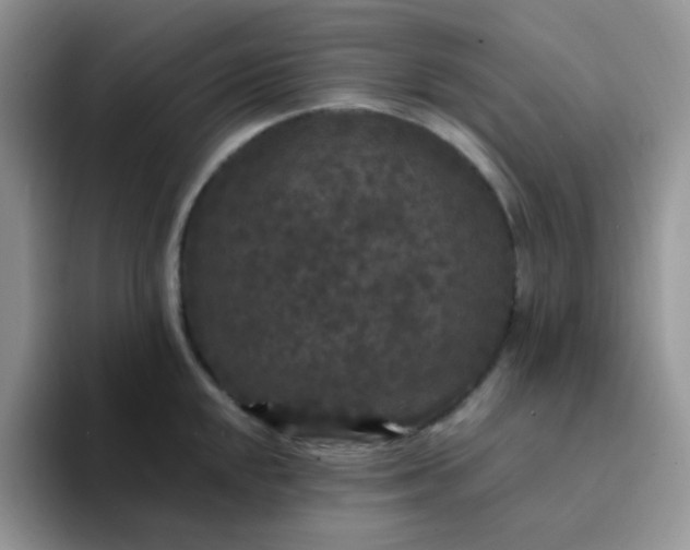 X0000094231048200711091310