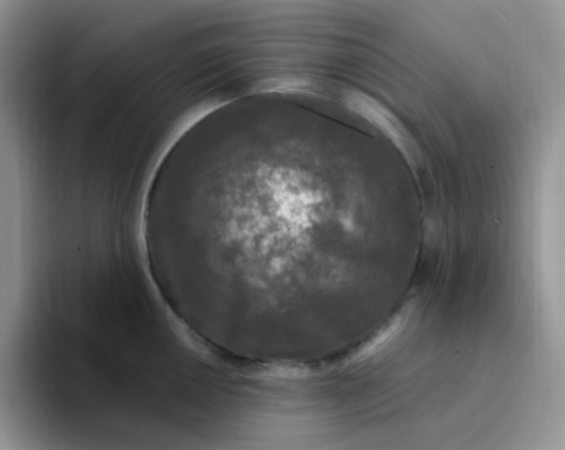 X0000094231050200711091310