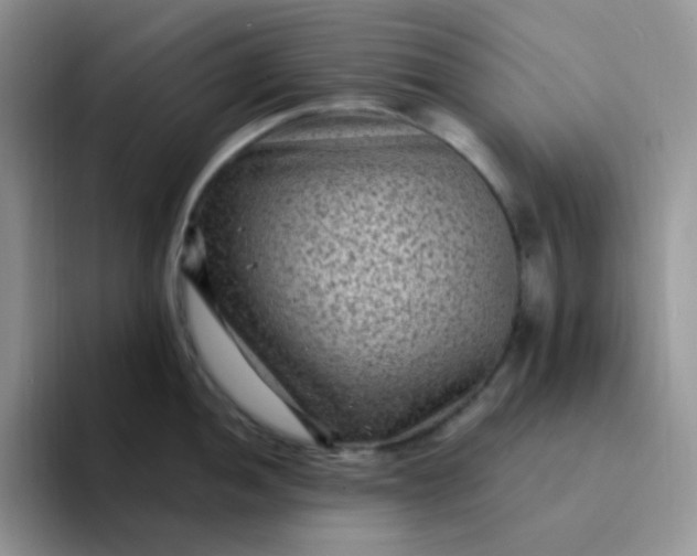 X0000094231052200711091310