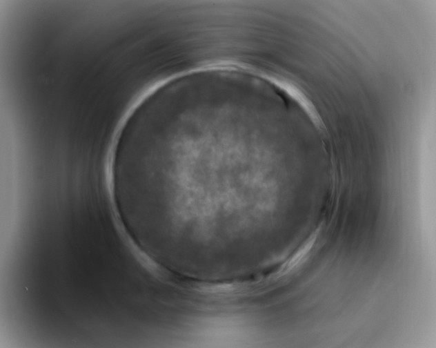 X0000094231054200711091310