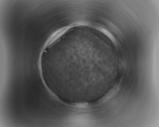 X0000094231055200711091310