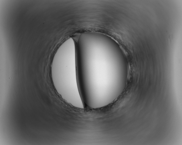 X0000094231057200711091310