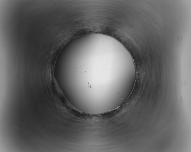 X0000094231058200711091310