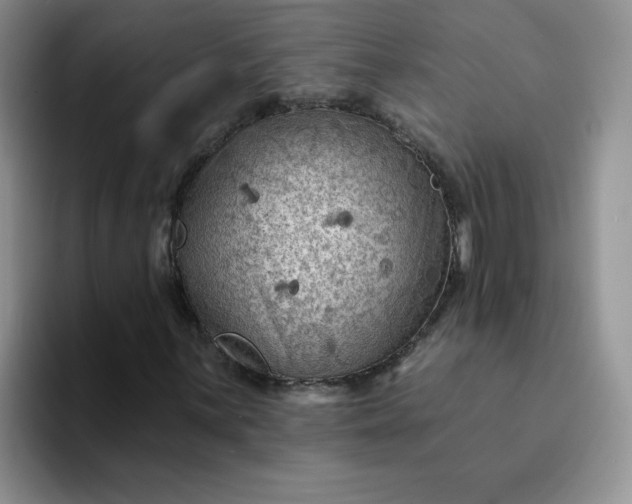 X0000094231059200711091310