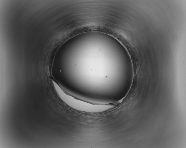 X0000094231062200711091310