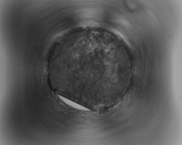 X0000094231063200711091310