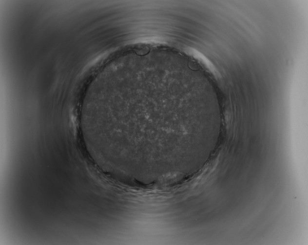 X0000094231064200711091310