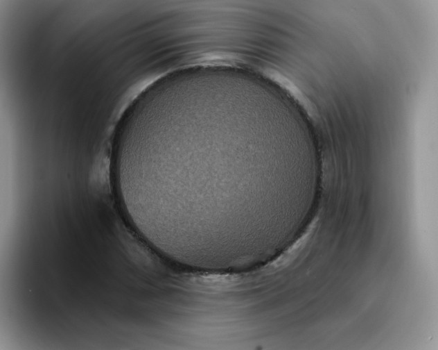 X0000094231066200711091310