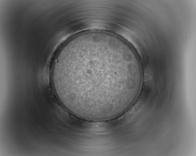 X0000094231067200711091310