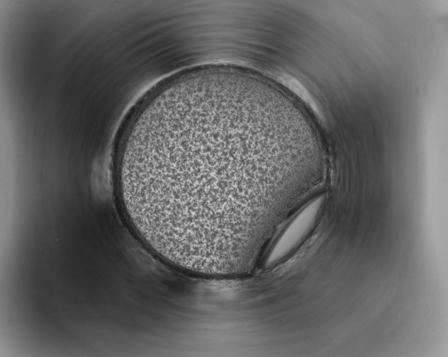 X0000094231068200711091310