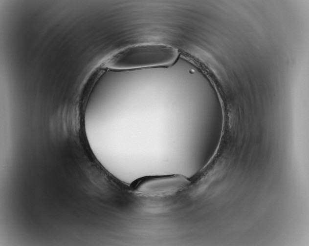 X0000094231069200711091310