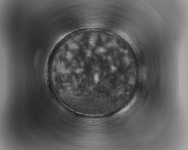 X0000094231071200711091310