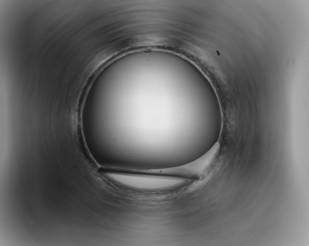 X0000094231073200711091310