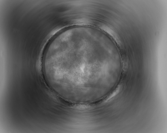 X0000094231074200711091310