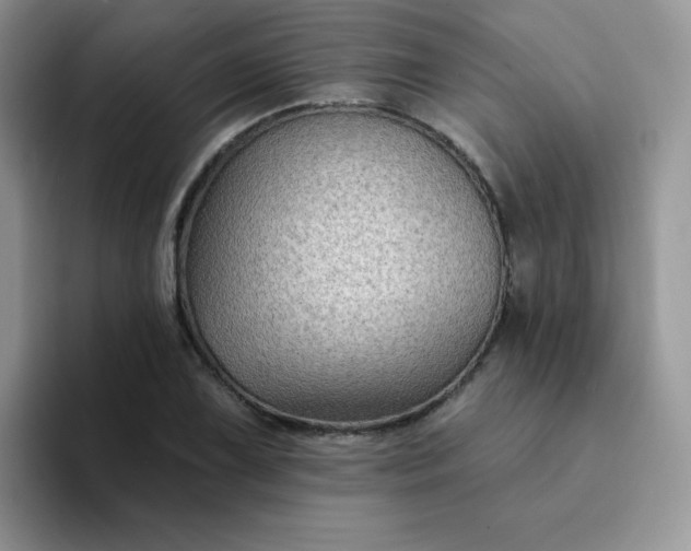 X0000094231075200711091310