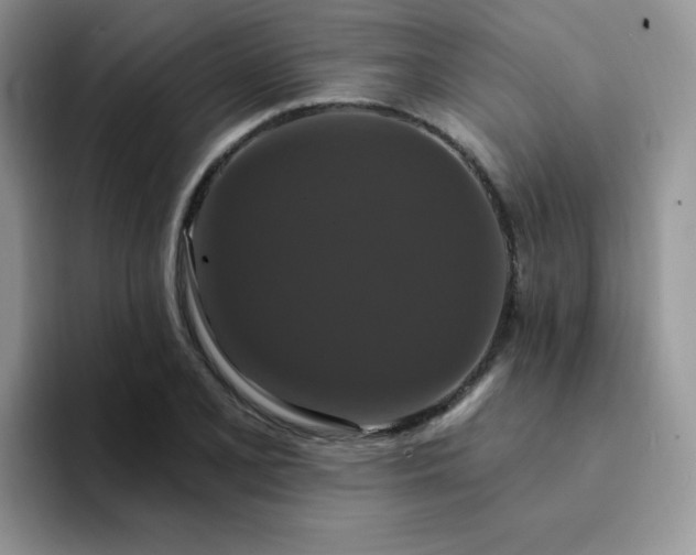 X0000094231077200711091310