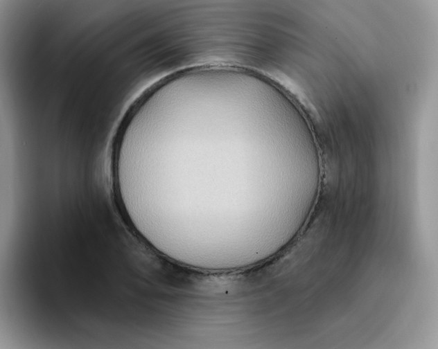 X0000094231078200711091310