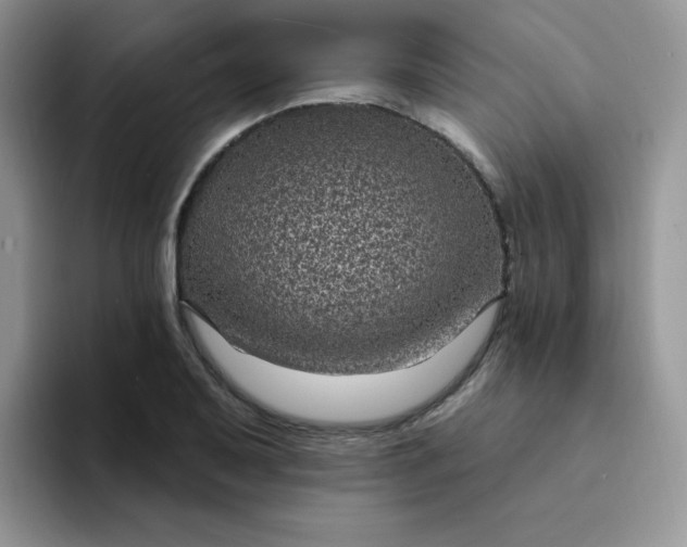 X0000094231079200711091310