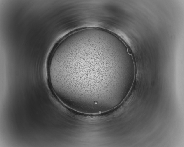 X0000094231080200711091310