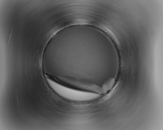 X0000094231081200711091310