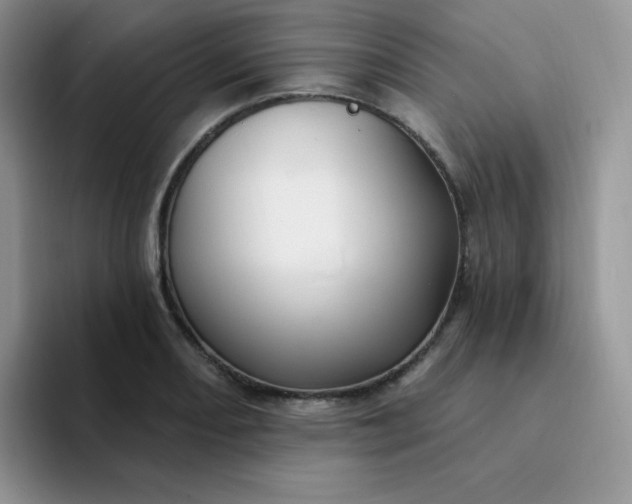 X0000094231082200711091310