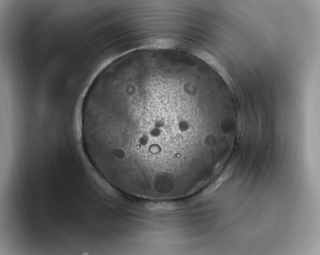 X0000094231083200711091310