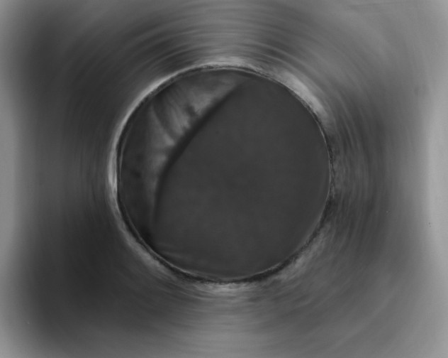 X0000094231084200711091310