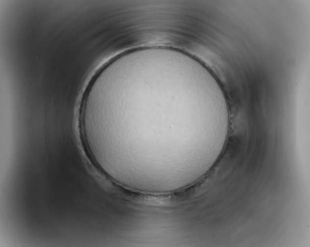 X0000094231086200711091310