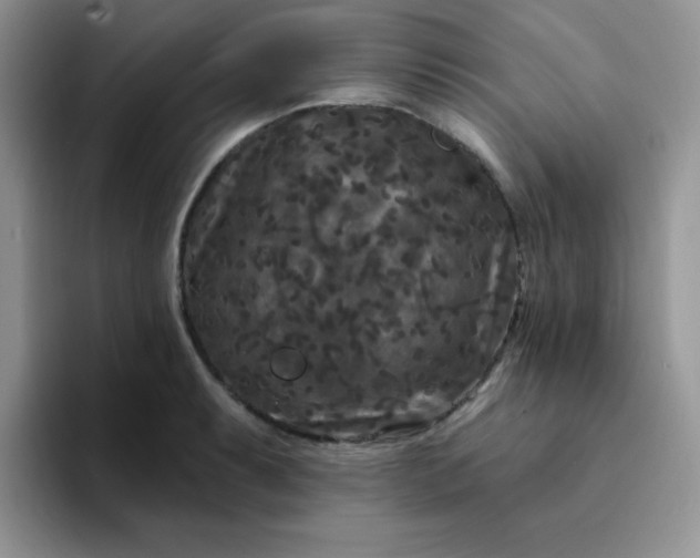 X0000094231087200711091310