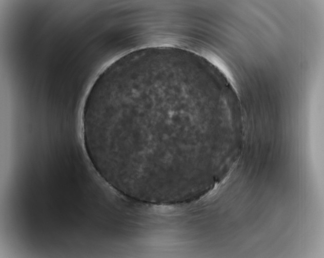 X0000094231088200711091310