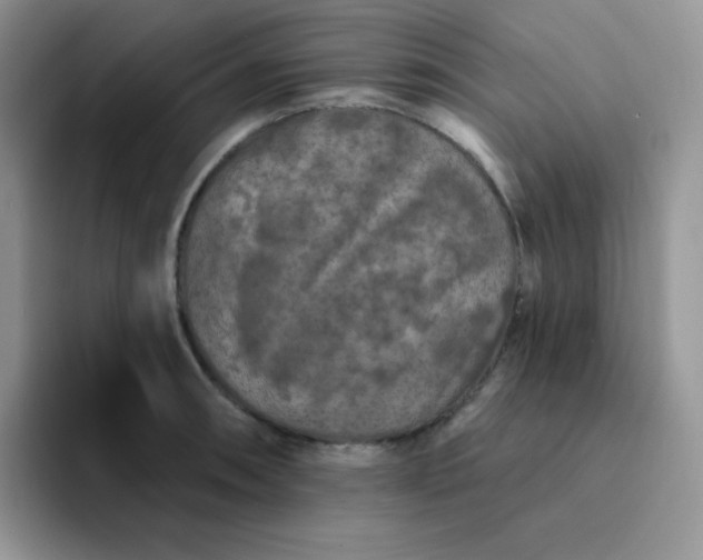 X0000094231090200711091310