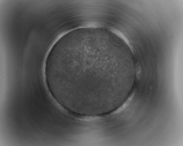 X0000094231091200711091310