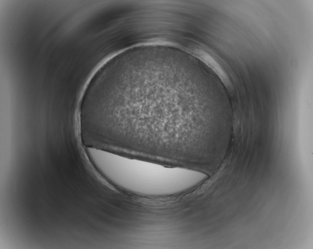 X0000094231092200711091310