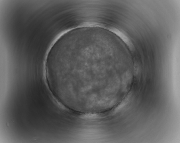 X0000094231094200711091309