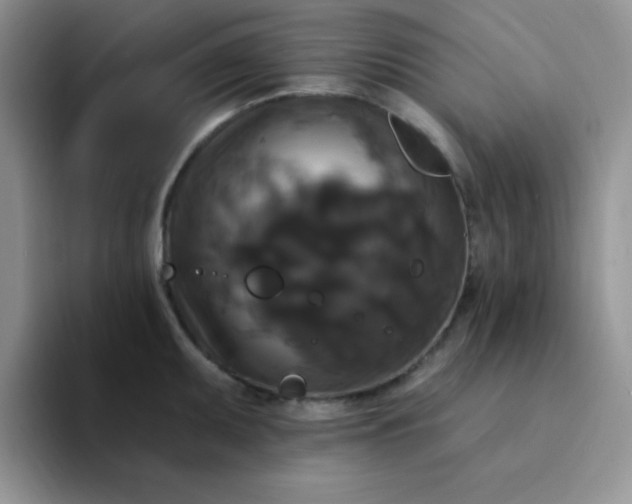 X0000094231095200711091309