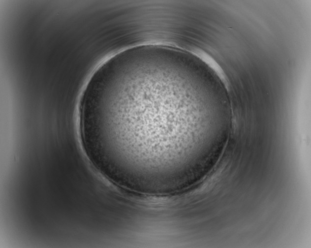 X0000094231096200711091309