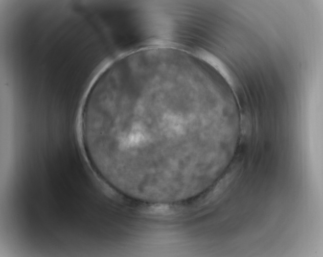 X0000094231098200711091309