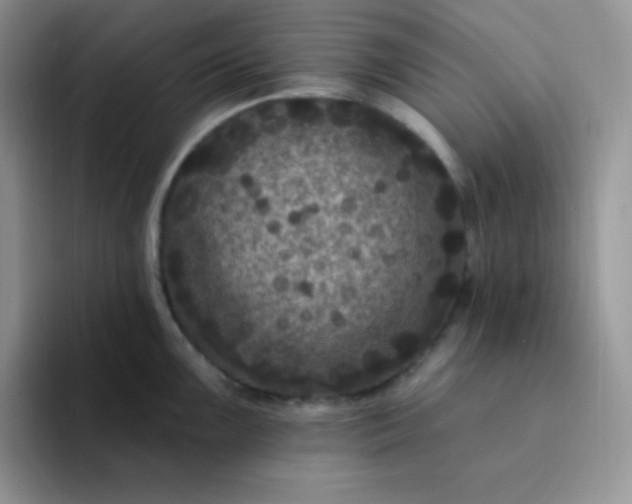 X0000094231099200711091309